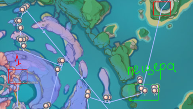 Photo of Где находятся автомобильные жемчужины