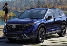 Photo of Лучшие автоспоты в США